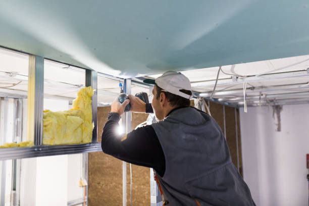 Best Fiberglass Insulation  in Clear Lake, WI