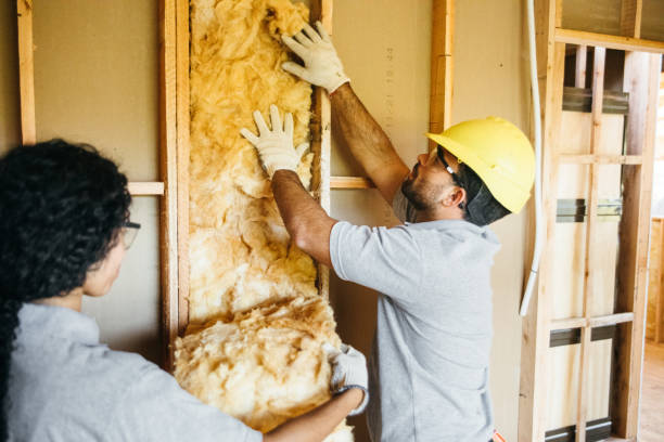 Best Insulation Contractor Near Me  in Clear Lake, WI